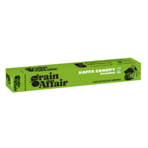 Kaffa Canopy